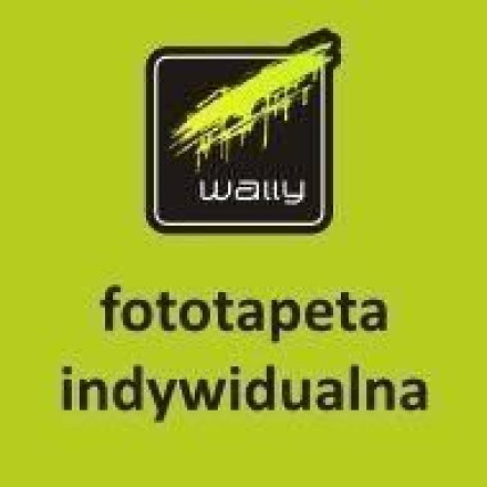 fototapeta indywidualna 120x80cm
